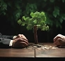 1 Program Structured Correctly Is Usually All It Takes To Reverse Both, And Make The Investment Pay Off